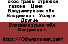скос травы стрижка газона › Цена ­ 300 - Владимирская обл., Владимир г. Услуги » Другие   . Владимирская обл.,Владимир г.